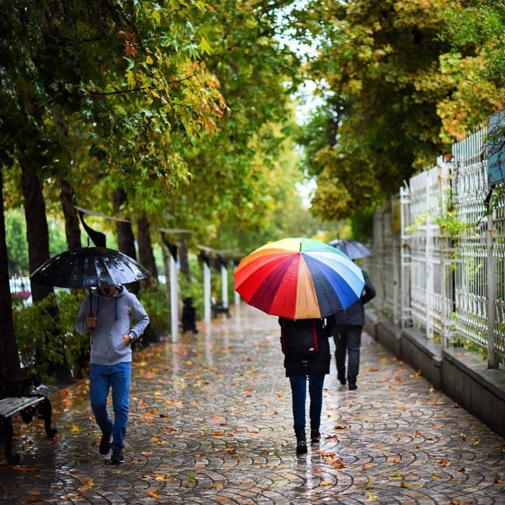 دیدنی های شیراز