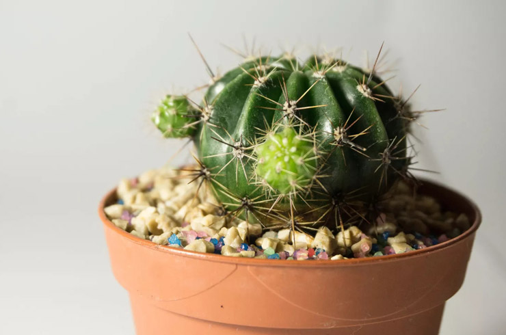 اشتباهات رایج فنگ شویی در چیدمان