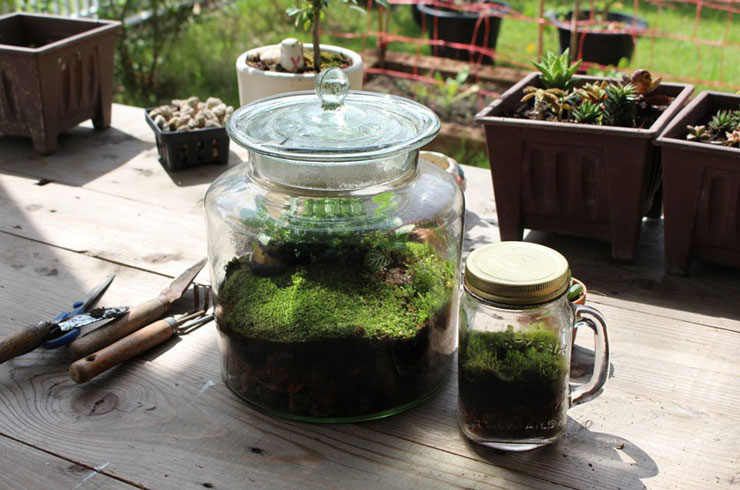 ساخت تراریوم