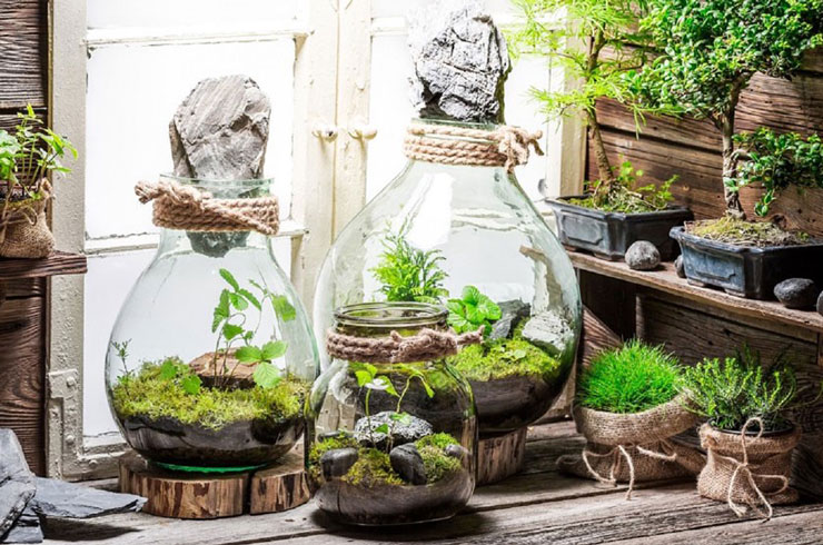 ساخت تراریوم